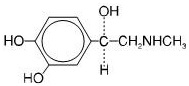Epinephrine Pediatrics Chloride